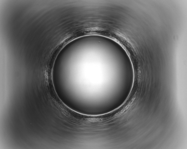 X0000094321305200711021344