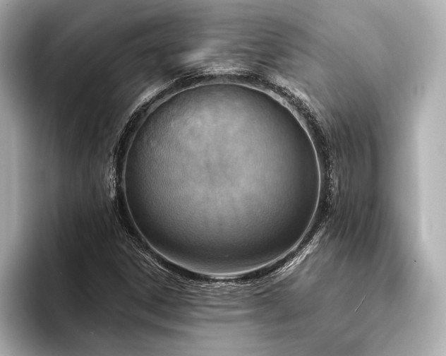 X0000094321306200711021344