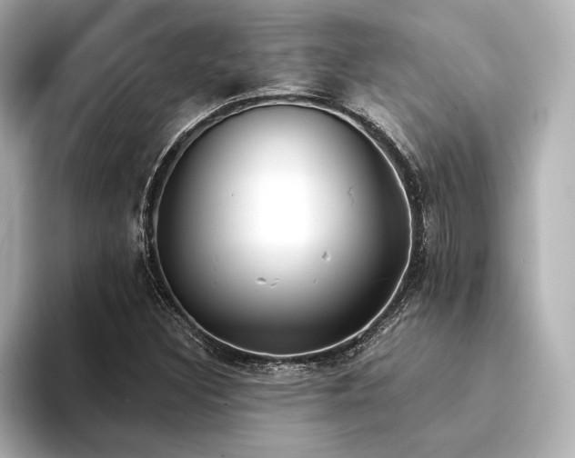X0000094321308200711021344