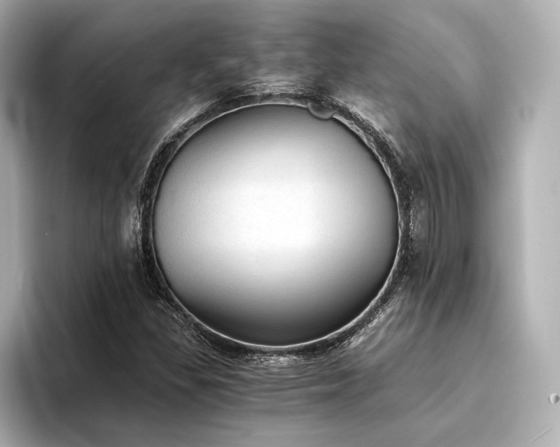 X0000094321309200711021344