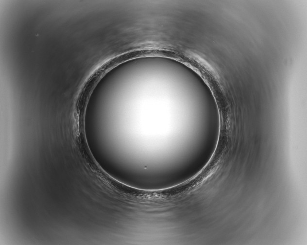 X0000094321310200711021344