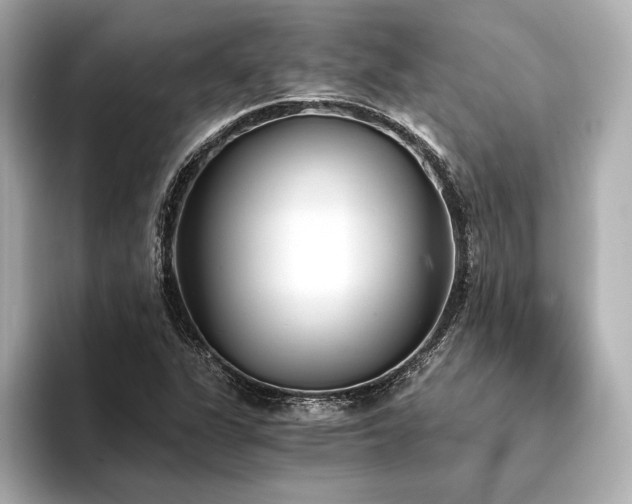 X0000094321311200711021344
