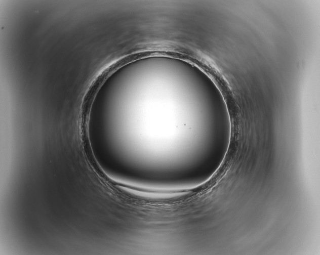 X0000094321312200711021344