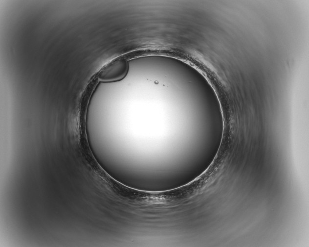 X0000094321315200711021344
