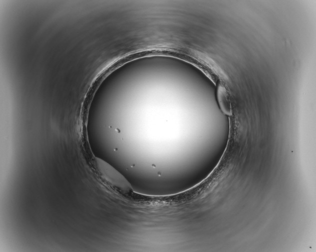 X0000094321316200711021344