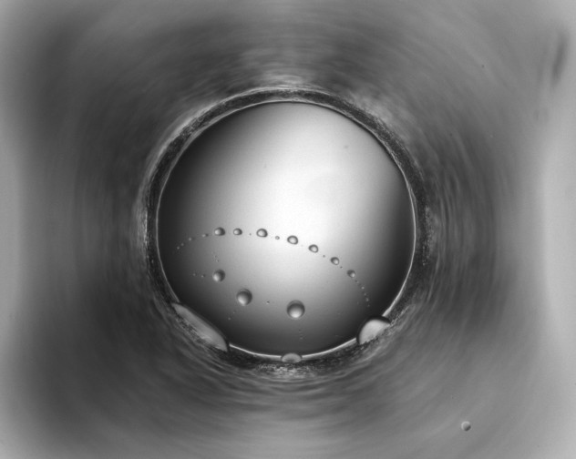X0000094321318200711021344