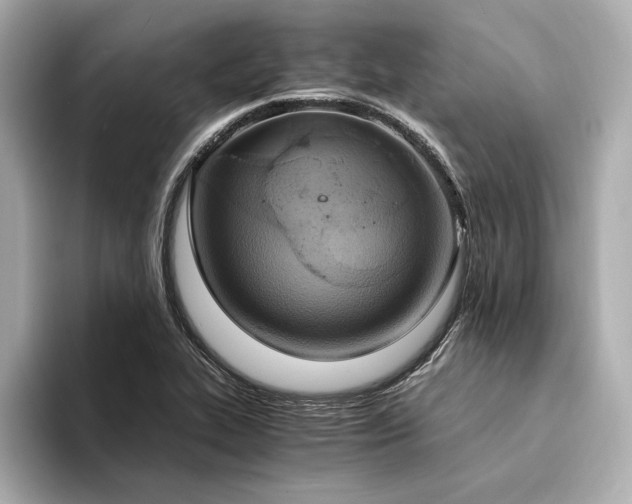 X0000094321319200711021344