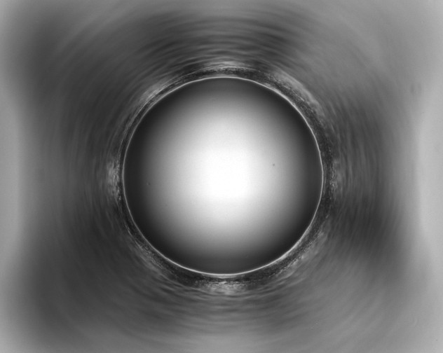 X0000094321321200711021344