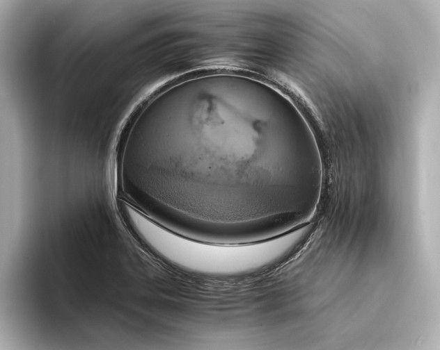 X0000094321323200711021344