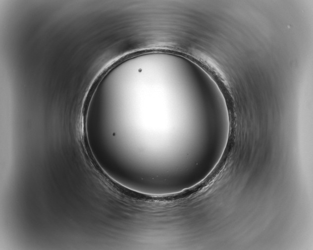 X0000094321324200711021344