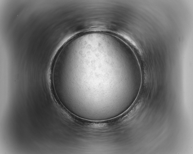 X0000094321325200711021344