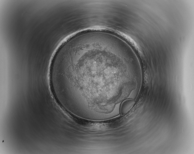 X0000094321327200711021344