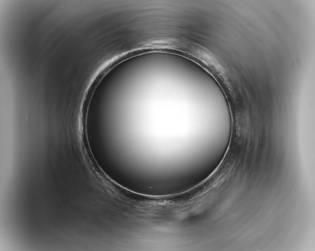 X0000094321328200711021344