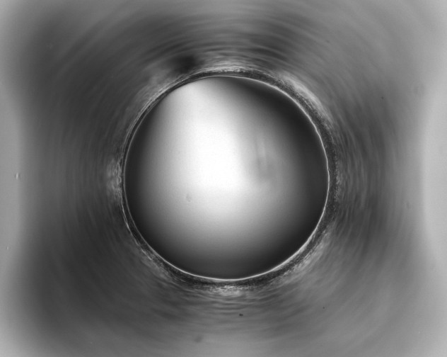 X0000094321329200711021344
