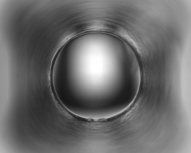 X0000094321330200711021344