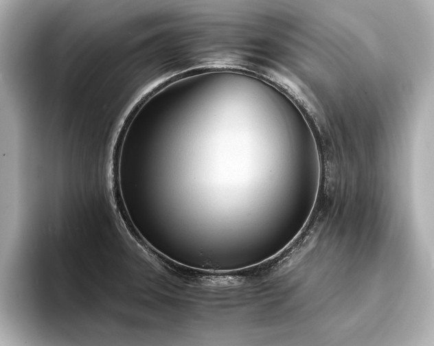 X0000094321331200711021344