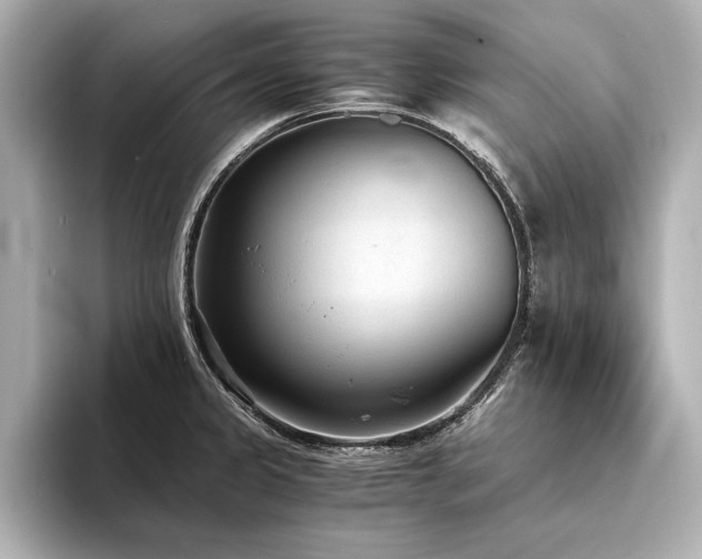 X0000094321333200711021344