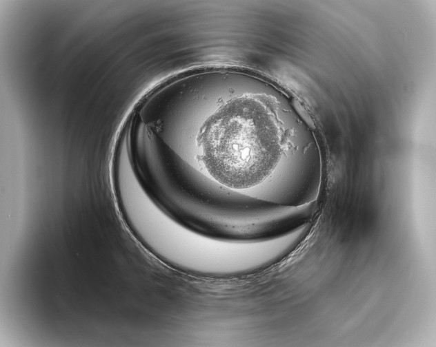 X0000094321334200711021344