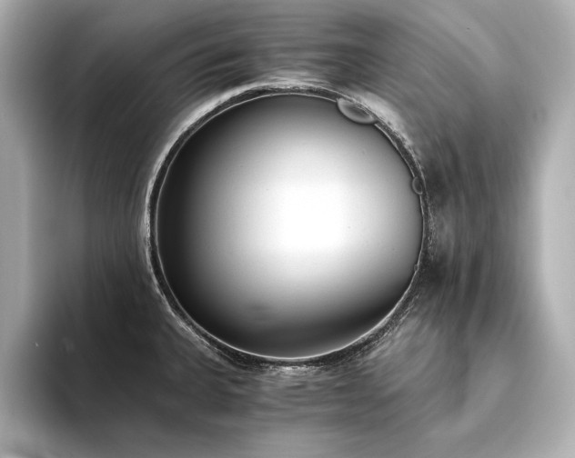 X0000094321335200711021344