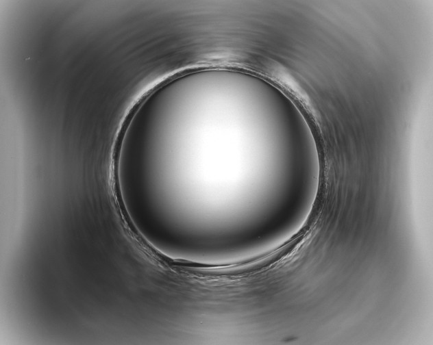 X0000094321336200711021344