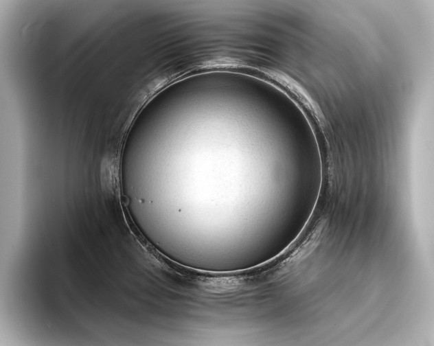 X0000094321337200711021344