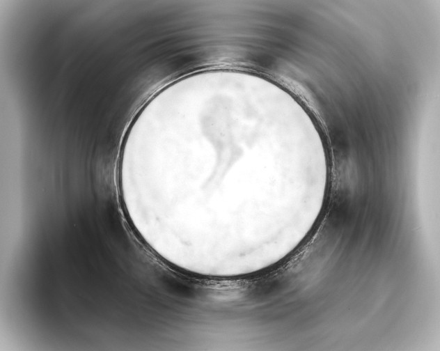 X0000094321338200711021345
