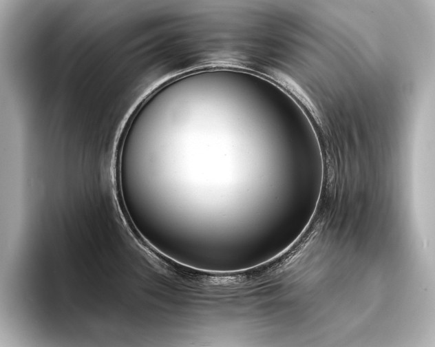 X0000094321339200711021345