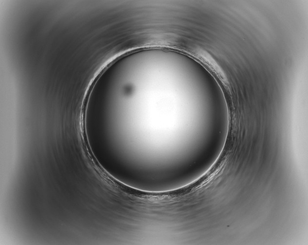 X0000094321340200711021345