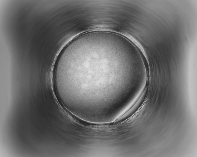 X0000094321341200711021345