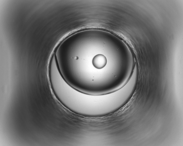 X0000094321342200711021345