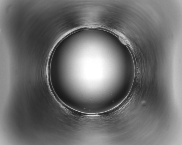 X0000094321343200711021345