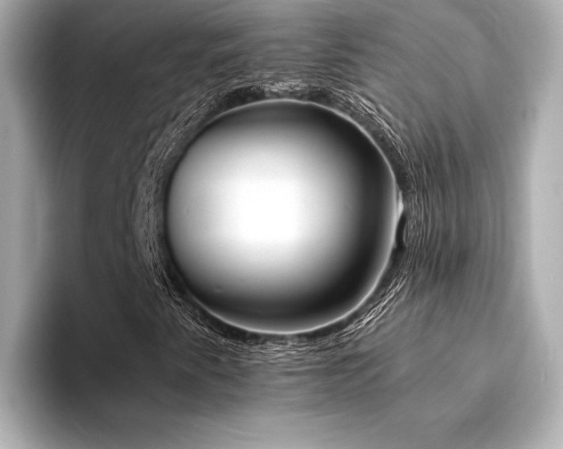 X0000094321345200711021344