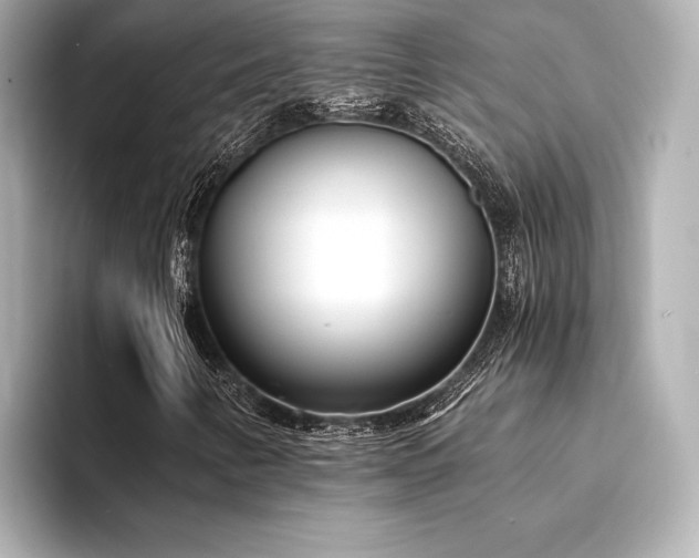 X0000094321346200711021344
