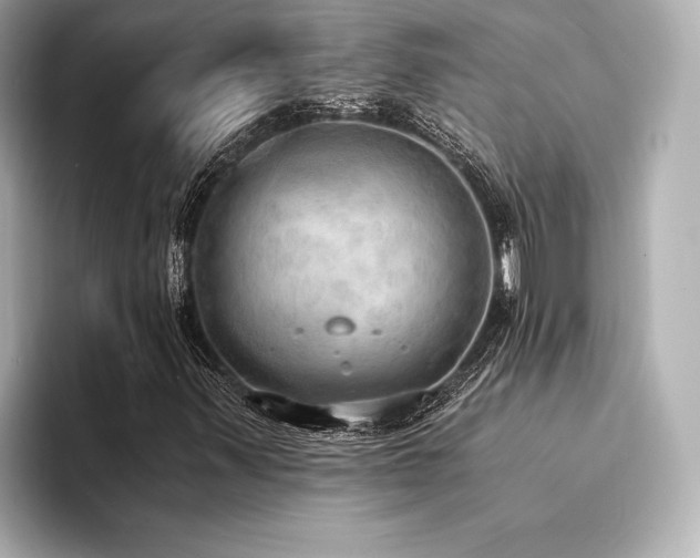 X0000094321347200711021344