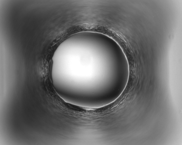X0000094321349200711021344