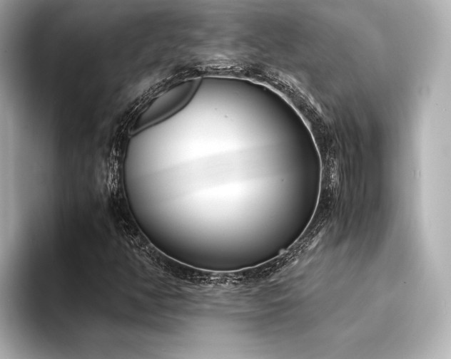 X0000094321350200711021344