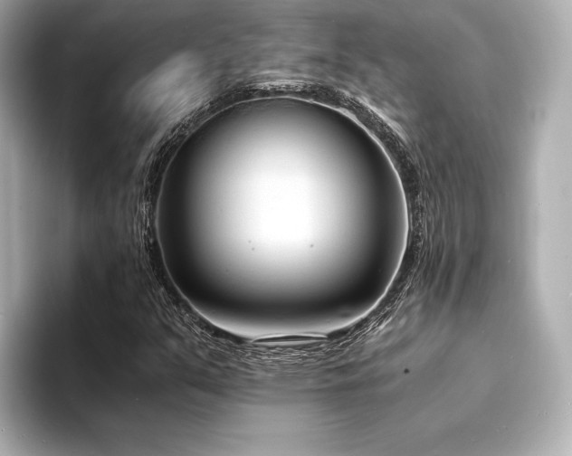 X0000094321351200711021344