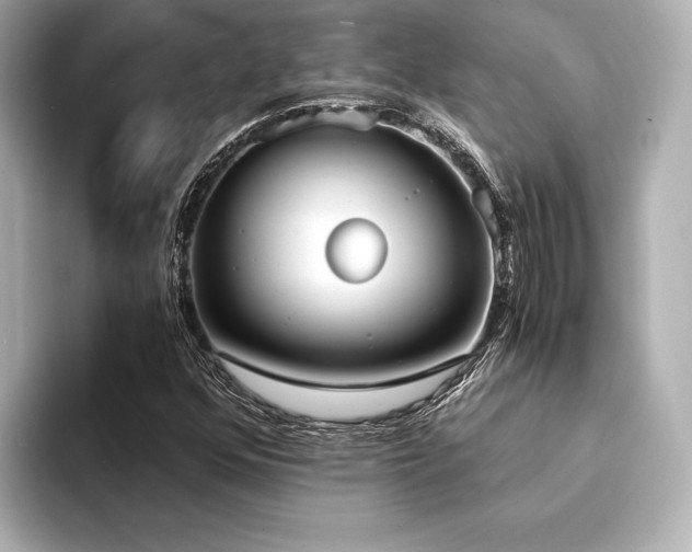 X0000094321352200711021344