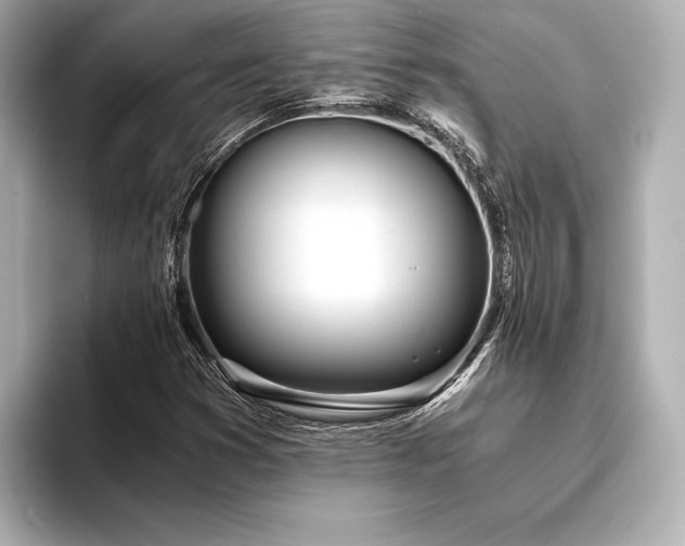 X0000094321353200711021344