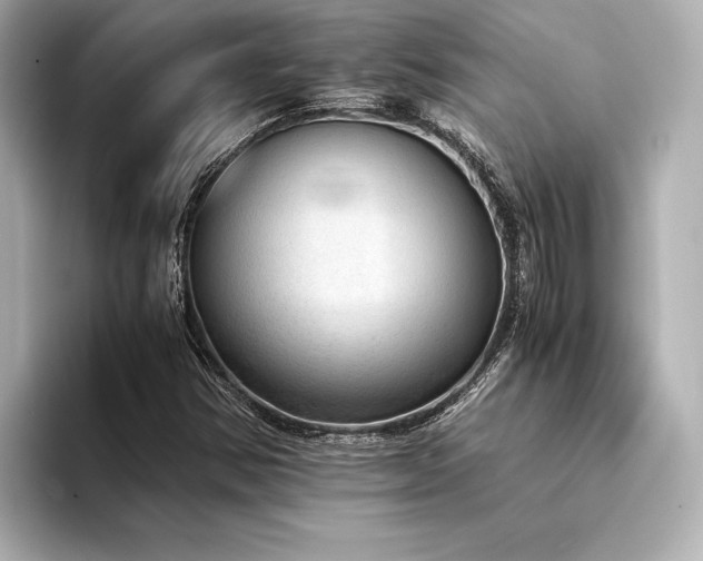 X0000094321354200711021344