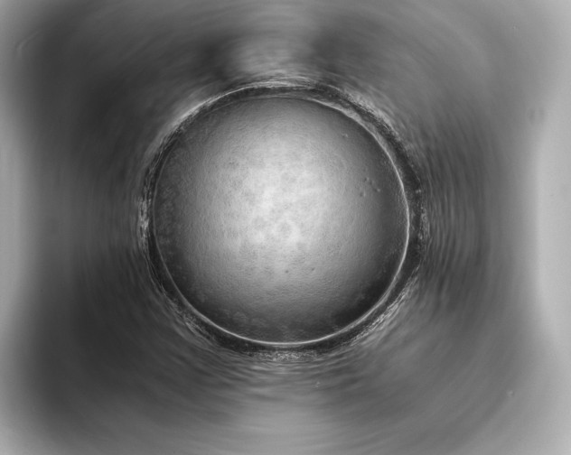 X0000094321355200711021344