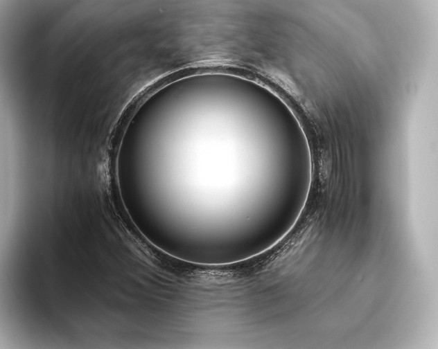 X0000094321356200711021344