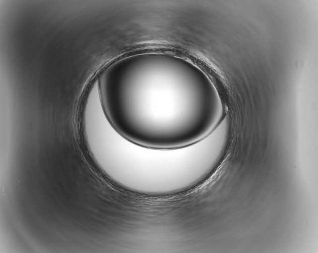 X0000094321357200711021344
