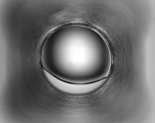 X0000094321359200711021344