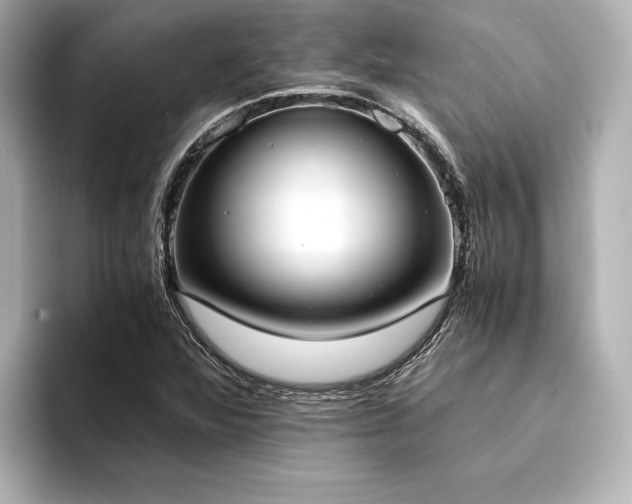 X0000094321360200711021344