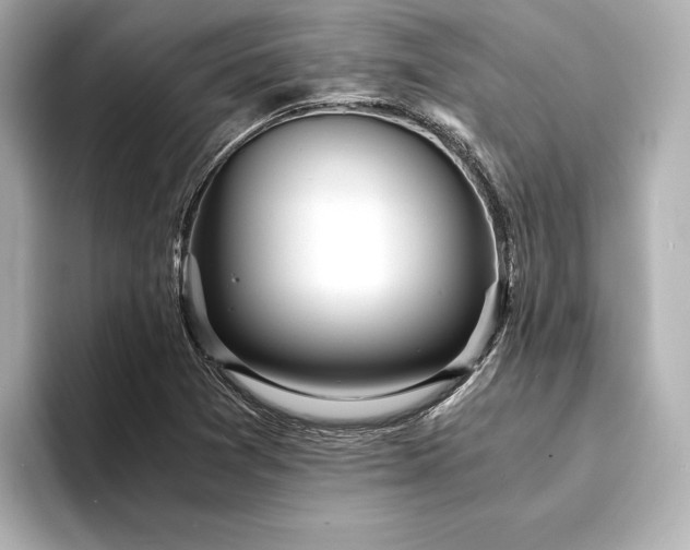 X0000094321361200711021344
