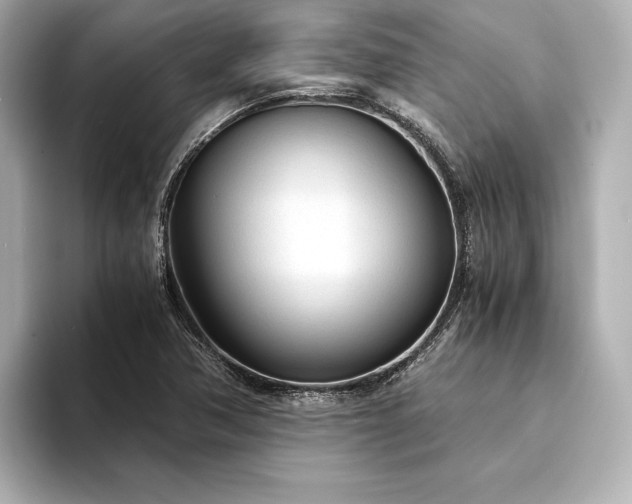 X0000094321362200711021344