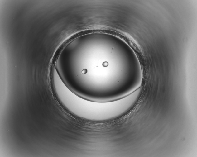 X0000094321364200711021344