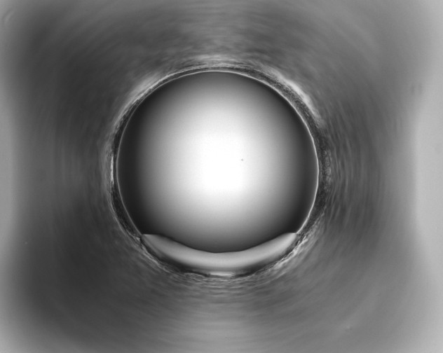 X0000094321365200711021344