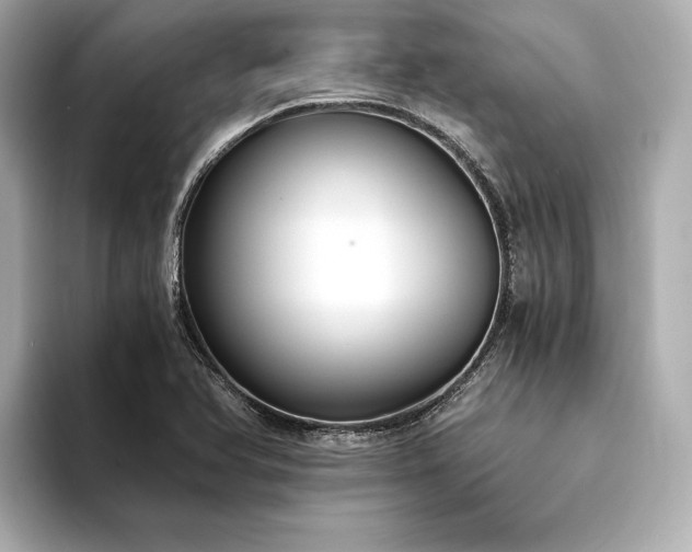 X0000094321366200711021344